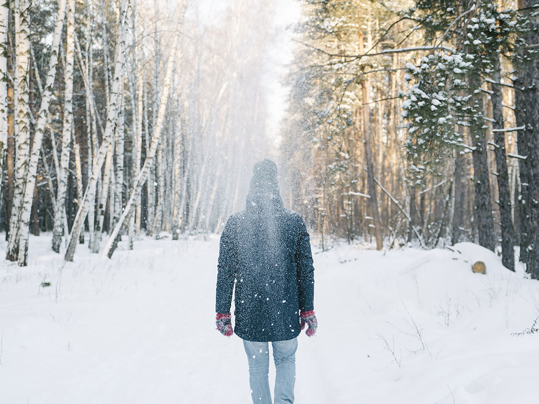 Snowing path